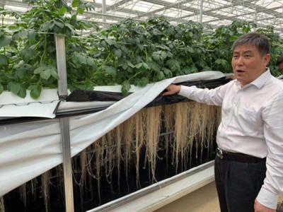 地理标志给力&nbsp;龙头企业发力&nbsp;贵州农民脱贫增收有力