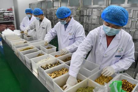 中医药法施行五周年：护佑百姓健康