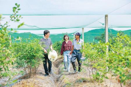 深度关注丨正风肃纪护航乡村振兴