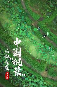 中国“枫景” | 看“枫”景，“桥”重庆！