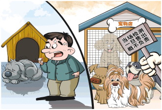 买来的宠物犬为何没活过一周?记者调查“星期宠”售卖乱象