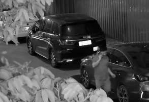 广州一男子醉酒刮花16辆车 &nbsp;黄埔警方33小时抓获嫌疑人