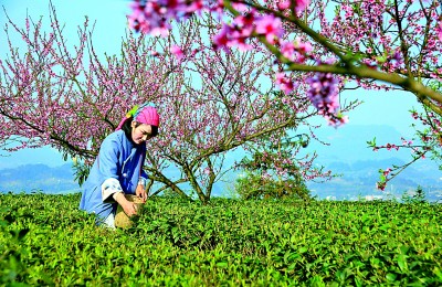 集委员“金点子” 塑文旅“金名片”——重庆市政协协力推进旅游强市建设