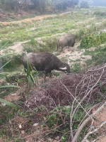 广东中山：法治春风暖&nbsp;&nbsp;护航春耕忙