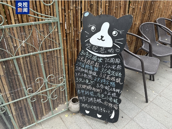 卡皮巴拉、羊驼入驻商场、写字楼 究竟暗藏哪些隐患?