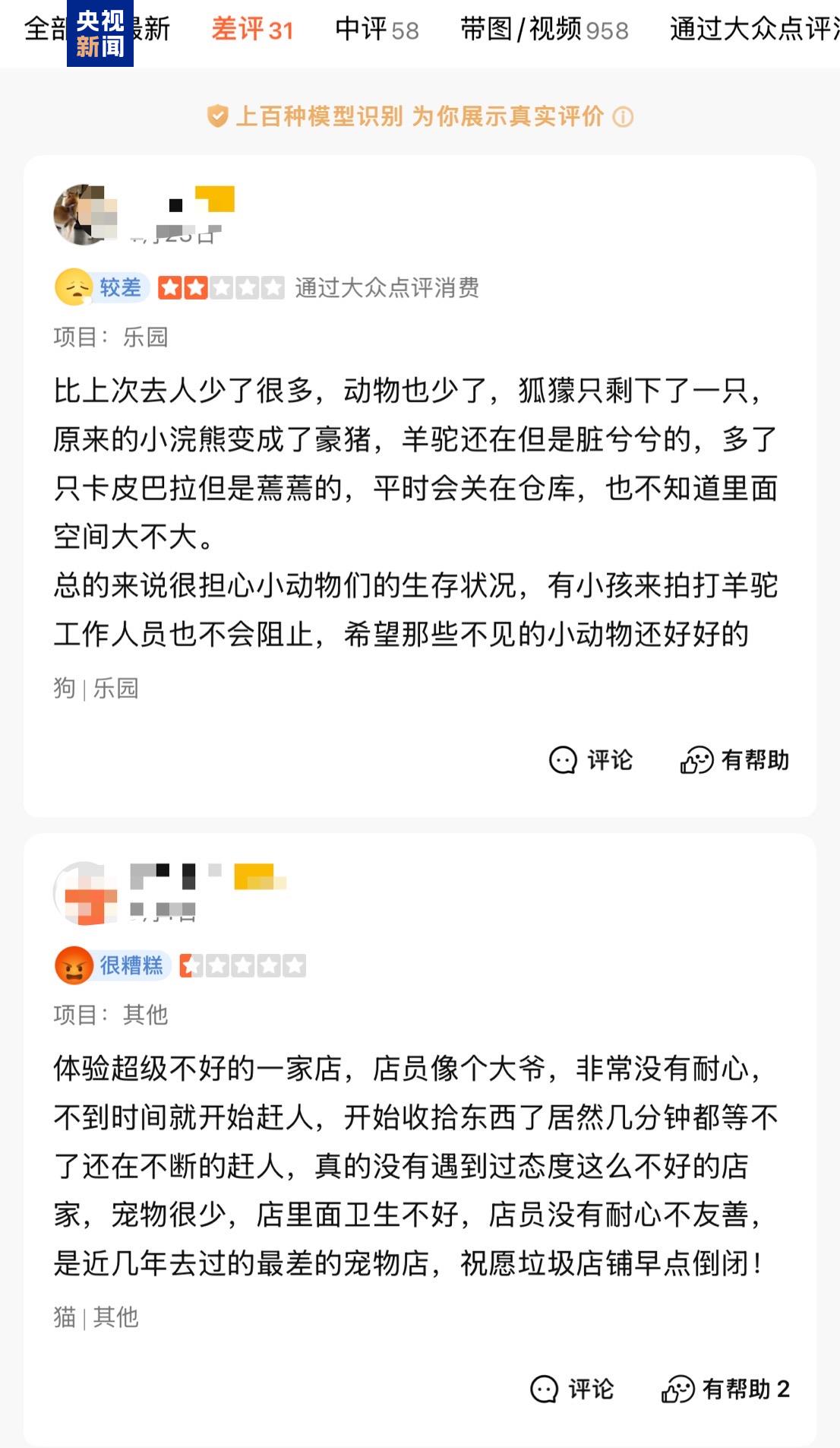 卡皮巴拉、羊驼入驻商场、写字楼 究竟暗藏哪些隐患?