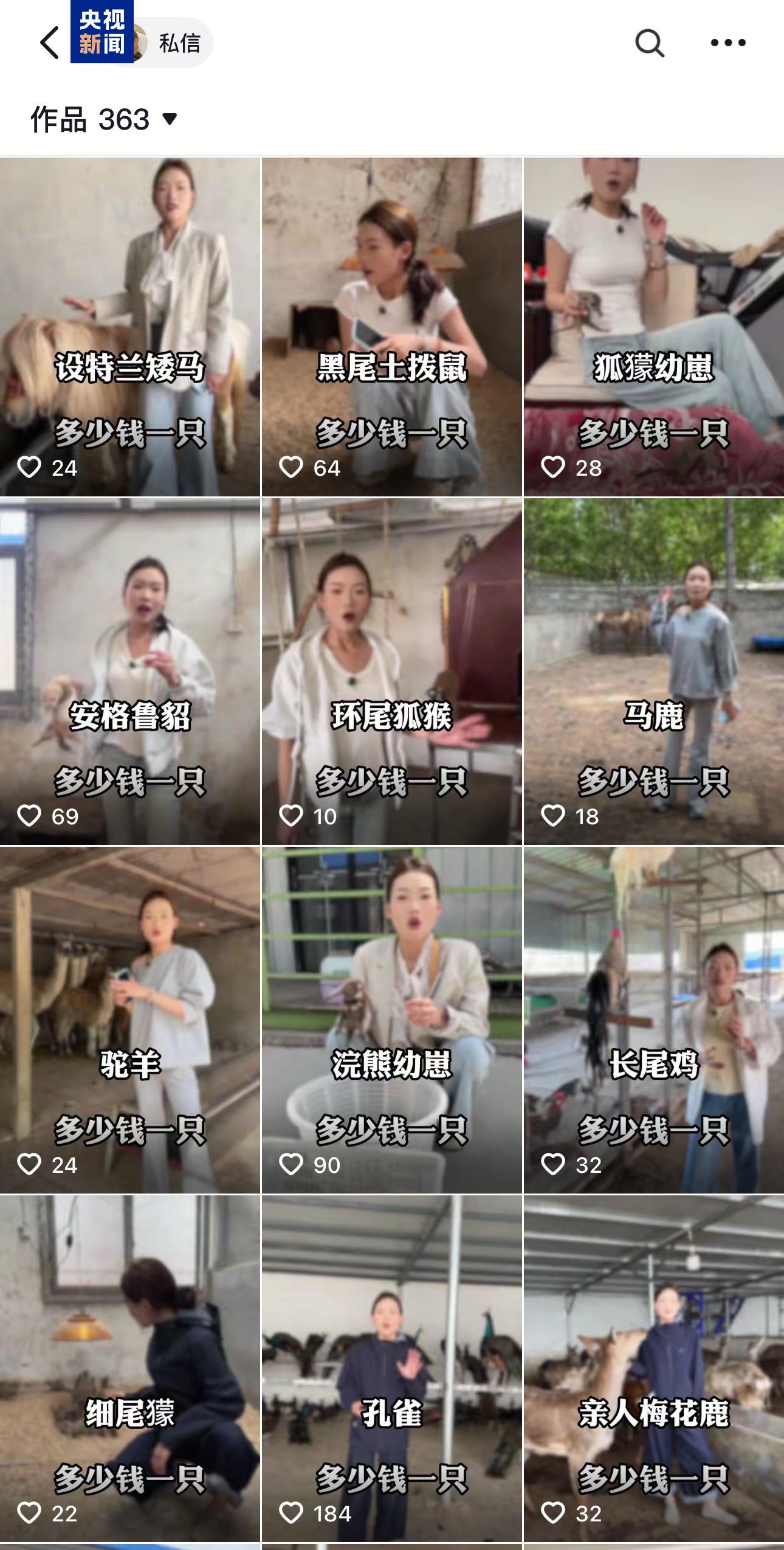 卡皮巴拉、羊驼入驻商场、写字楼 究竟暗藏哪些隐患?