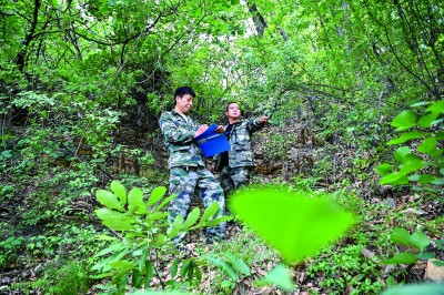 让天蓝地绿水清深入人心——生态环境立法开启环境法治新篇章