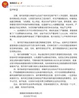 海南航空发声明打假：将追究侵权者民事甚至刑事责任，绝不姑息