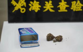 深圳湾海关查获进境旅客利用口香糖盒藏匿大麻1.3克
