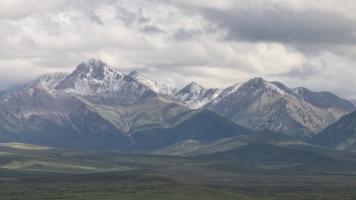 e法耀陇原 | 天光染绿处 法治护祁连